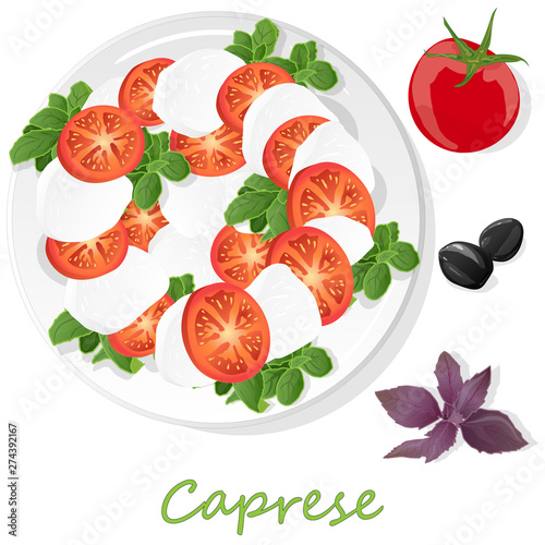 Vector illustration of delicious caprese salad with ripe tomatoes and mozzarella cheese with fresh basil leaves. Italian food isolated.
