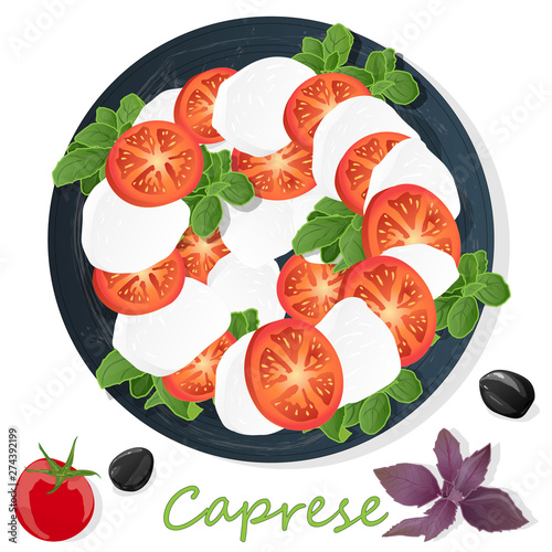 Vector illustration of delicious caprese salad with ripe tomatoes and mozzarella cheese with fresh basil leaves. Italian food isolated.