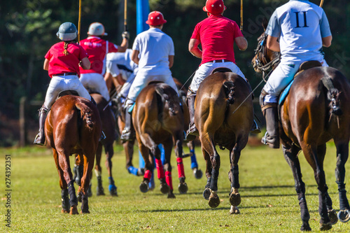 Horse Polo Player Field Game Action © ChrisVanLennepPhoto