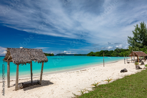 Port Orly sandy beach with palm trees  Espiritu Santo Island  Vanuatu.