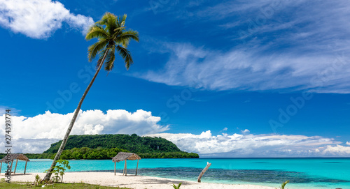 Port Orly sandy beach with palm trees, Espiritu Santo Island, Vanuatu.