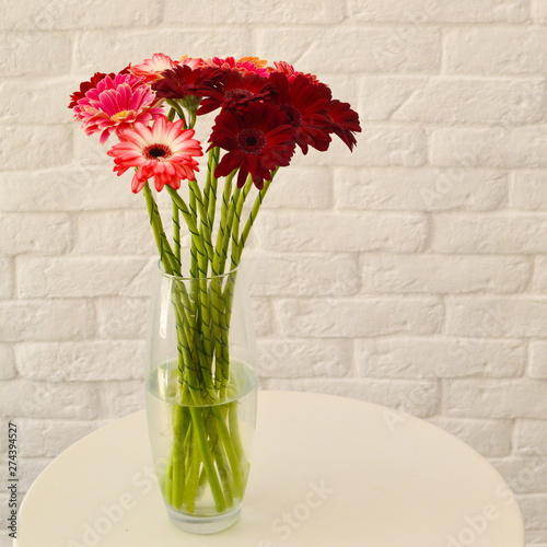 multi-colored gerberas in a vase on a white background photo