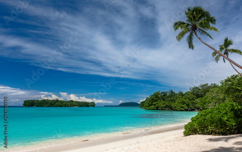 Port Orly sandy beach with palm trees  Espiritu Santo Island  Vanuatu.