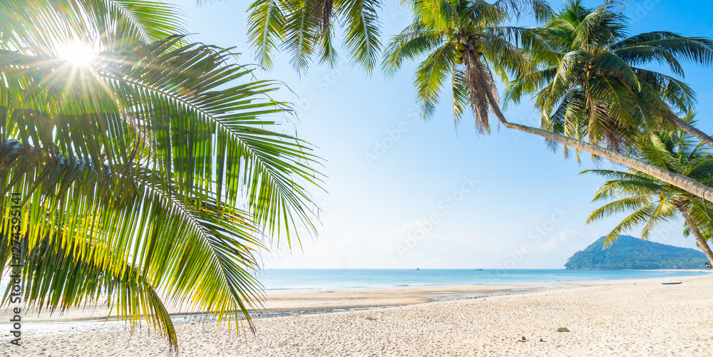 Fototapeta premium Tropical sea Coconut trees and beautiful white beaches of Chumphon, Thailand