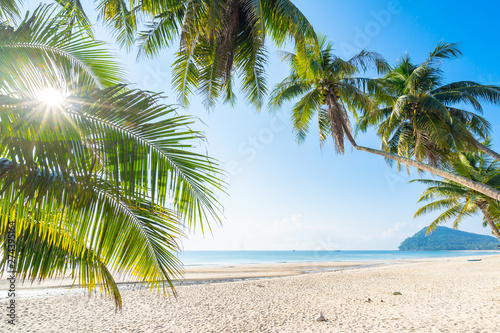 Tropical  sea  Coconut trees and beautiful white beaches of Chumphon  Thailand