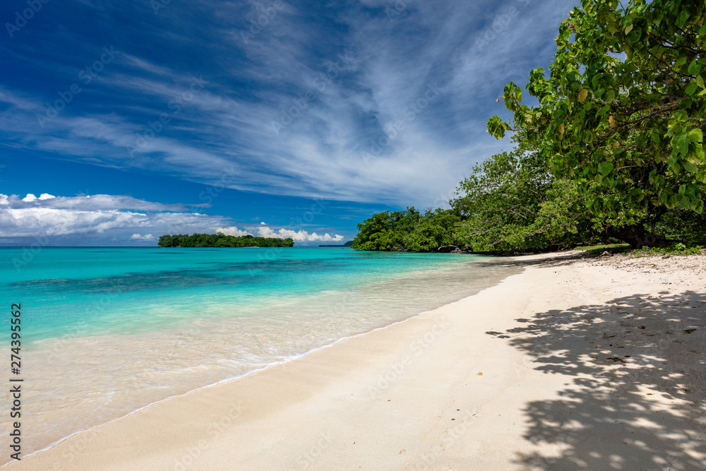 Port Orly sandy beach with palm trees, Espiritu Santo Island, Vanuatu.