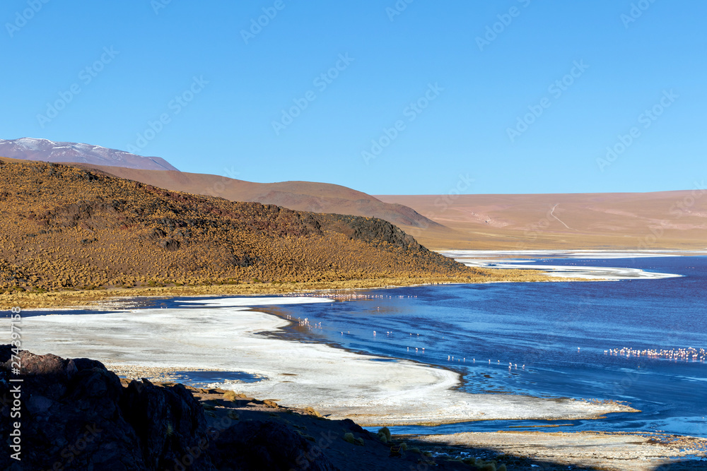 Laguna Colorada, shallow salt lake in the southwest of the altiplano of Bolivia Laguna Colorada, shallow salt lake in the southwest of the altiplano of Bolivia