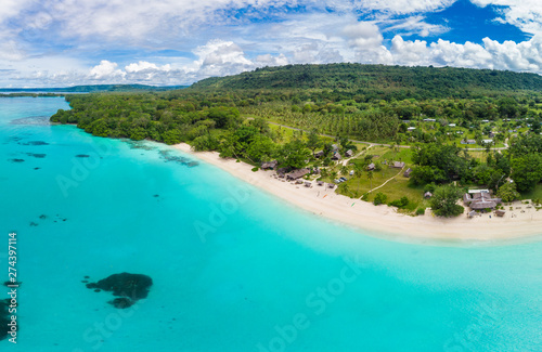 Port Orly sandy beach with palm trees, Espiritu Santo Island, Vanuatu. © Martin Valigursky