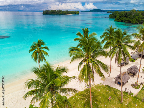 Port Orly sandy beach with palm trees  Espiritu Santo Island  Vanuatu.