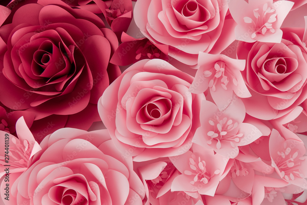 Red and pink roses, flower bright background. Decoration for design Red and pink roses, flower bright background. Decoration for design