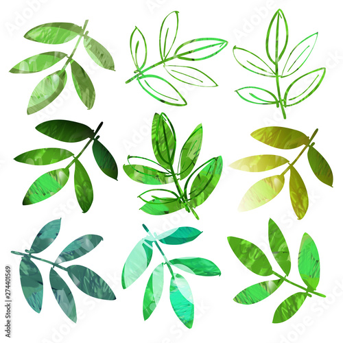 Green Leaves. Watercolor Illustration. Nature Design Elements.