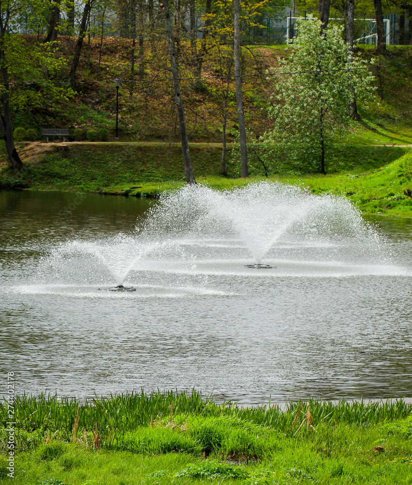 Naklejka premium Public city park.