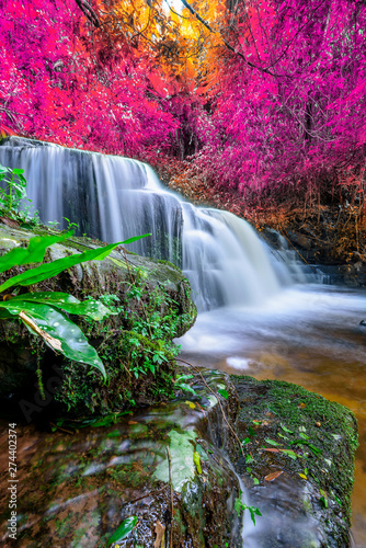 Fototapeta Naklejka Na Ścianę i Meble -  Amazing in nature, beautiful waterfall at colorful autumn forest in fall season