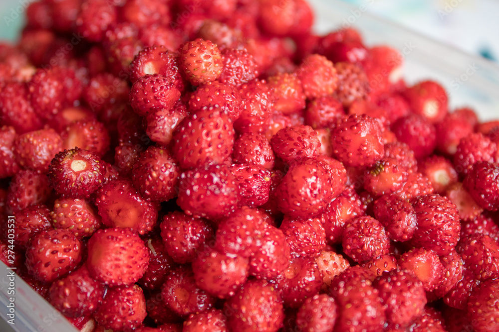 A lot of red juicy strawberries. The most delicious wild berry. Strawberry texture and background. A lot of red juicy strawberries. The most delicious wild berry. Strawberry texture and background.