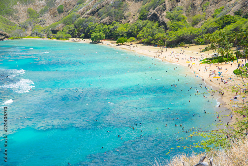Beautiful bay in Hawaii