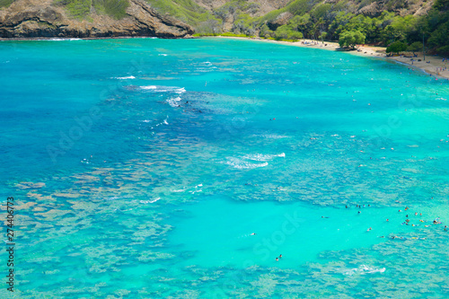 Hanauma bay in Hawaii