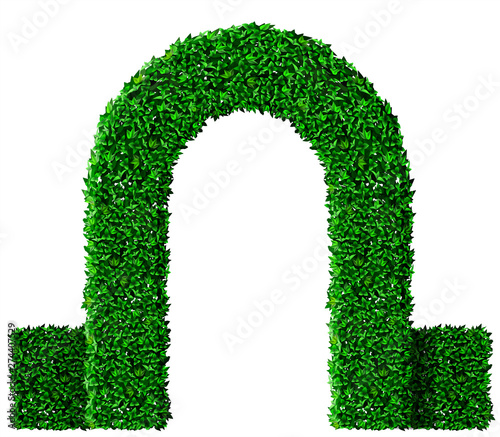 Green ivy grape arch
