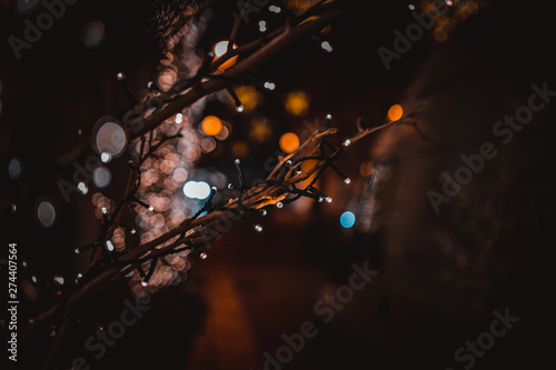 Christmas lights on branch and blurred background