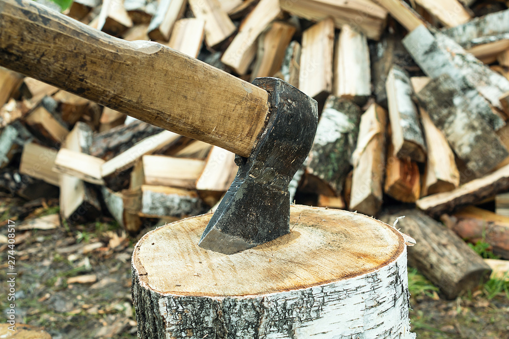 Harvesting in the household. An old ax in the wood