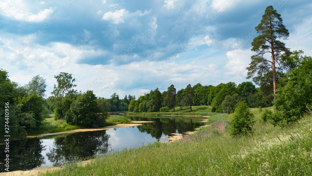 Summer panoramic landscape with pine by the lake.