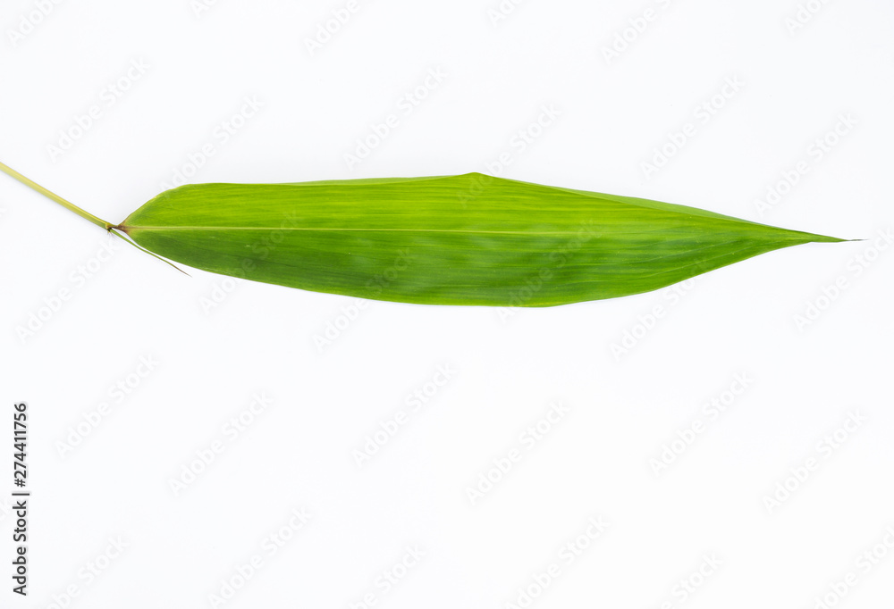 Fototapeta premium Fresh single fresh green bamboo leaf isolate on white background