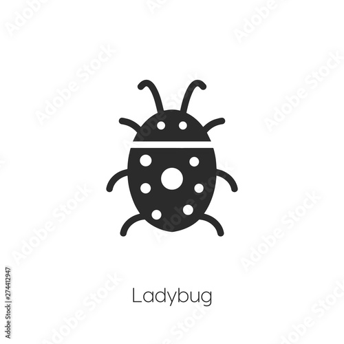 ladybug icon vector symbol sign