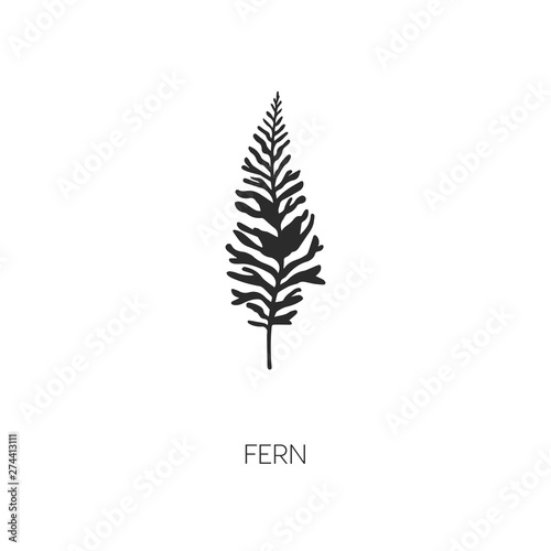 Fern icon. fern vector symbol. Linear style sign for mobile concept and web design. fern symbol illustration. Pixel vector graphics - Vector 