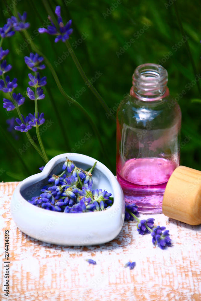 gesundheit mit lavendel gesundheit mit lavendel