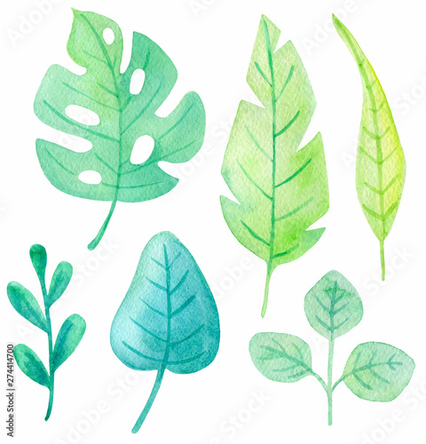 Set of watercolor tropical leaves