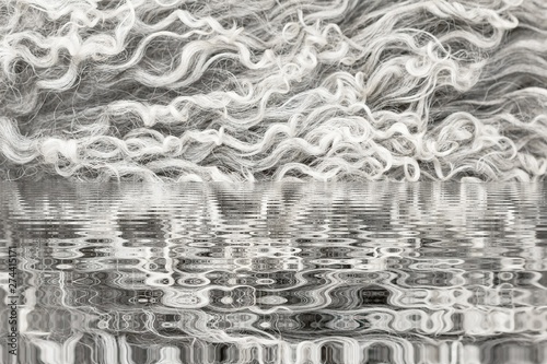 wool sheep abstract geometr...