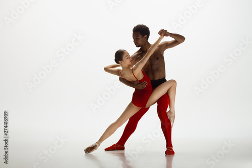Graceful classic ballet dancers dancing isolated on white studio background. Couple in bright red clothes like a combination of wine and milk. The grace, artist, movement, action and motion concept. © master1305