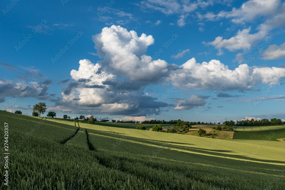 Agrarlandschaft und Wolkenhimmel