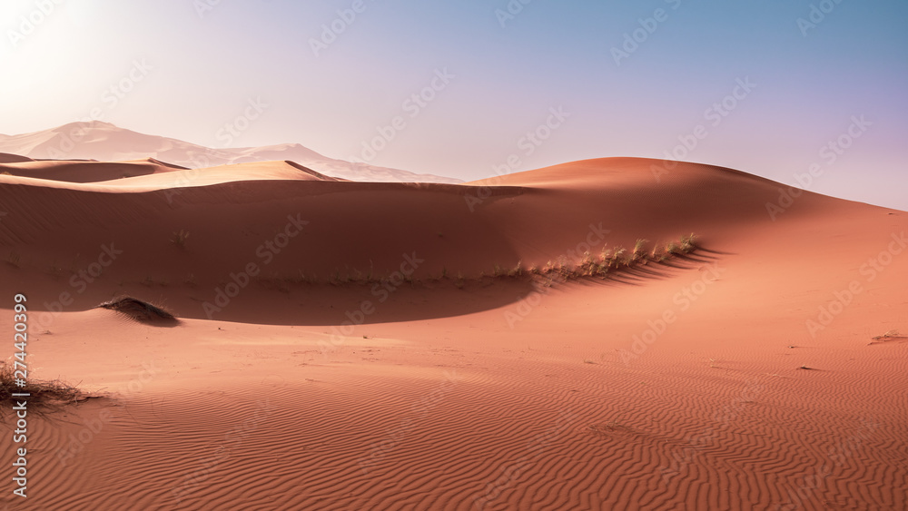 Landscape view of yellow sand and clear blue sky. Sahara, Morocco.