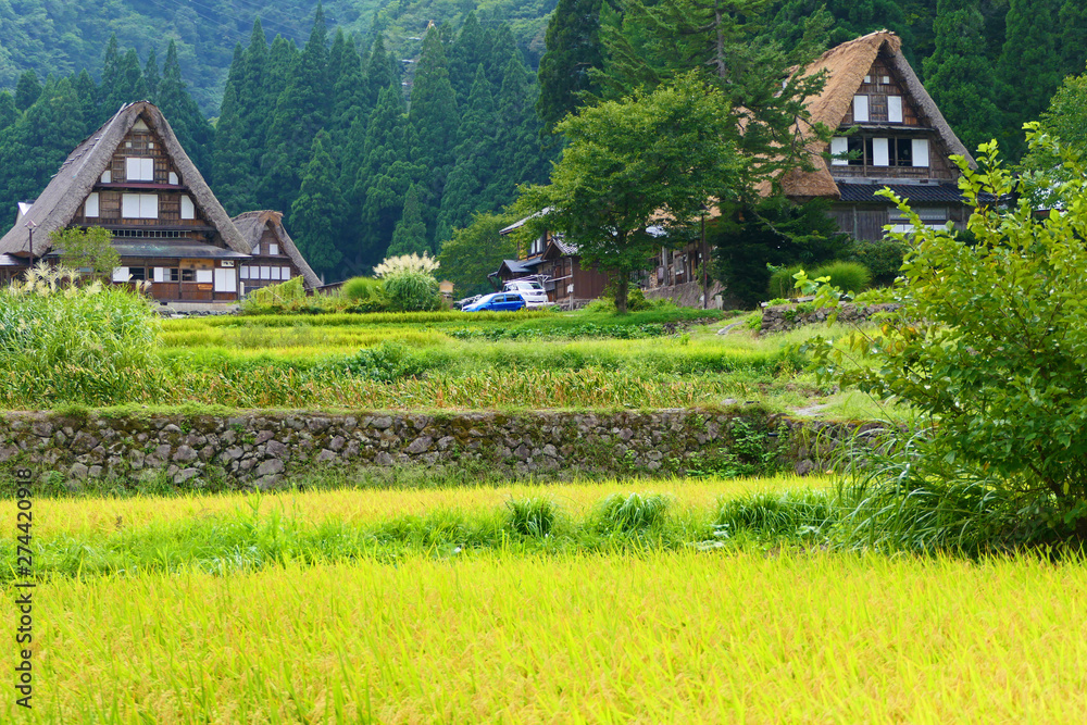 世界文化遺産、初秋の相倉合掌造り集落。五箇山　富山　日本。８月下旬。