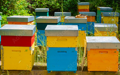 Hives in an apiary with bees flying to the landing boards. Apiculture © peuceta