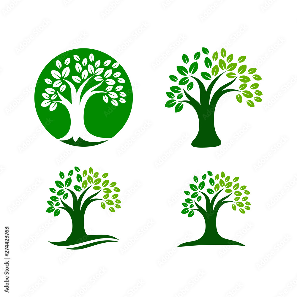 Obraz premium Tree logo template. nature icon design - vectorPrint