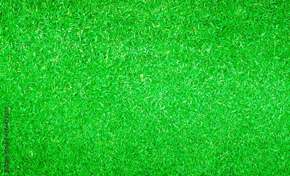 Fototapeta premium Green grass background