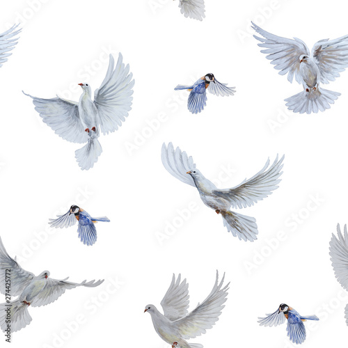 A free flying white dove and titbird on white background. Seamless pattern © elennadzen