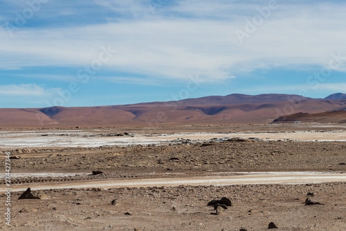 Background with barren desert scenery in the Bolivian Andes, in the Nature reserve Edoardo Avaroa photo