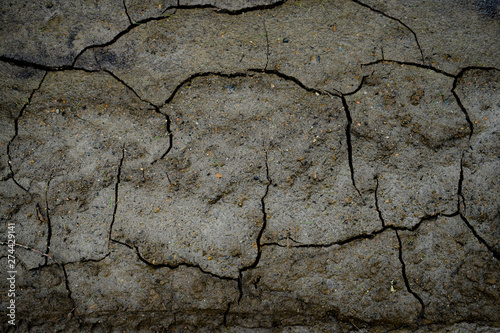 cracked earth texture 