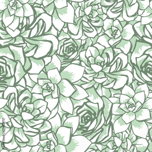 Vector succulent flower bed seamless pattern. Hand drawn vector illustration of echeveria . Green and light background ideal for wallpaper, textile, invitations.
