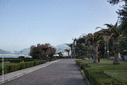 Deserted park near the island of Sveti Stefan