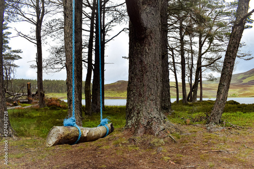 Rope swin close up in forest with lake and mountains behind