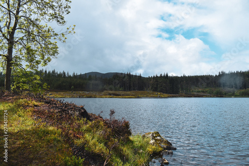 landscape with lake and trees, wiht mountains in the distance