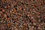 A pile of cut wood. Wood for the production of particle board