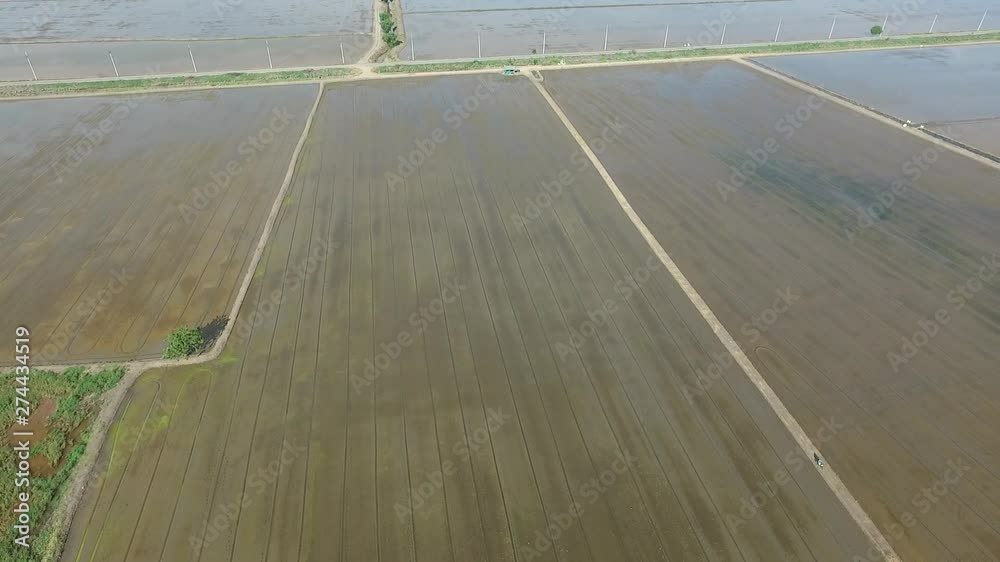 aerial view from flying drone of Field rice with landscape green pattern nature background, top view field rice aerial view from flying drone of Field rice with landscape green pattern nature background, top view field rice