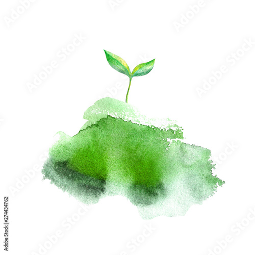 Sprout in the grass.Spring picture.Watercolor hand drawn illustration.White background.