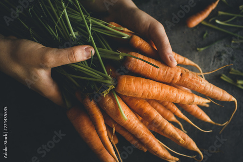 Fresh Organic Nantes Carrots on Dark Background