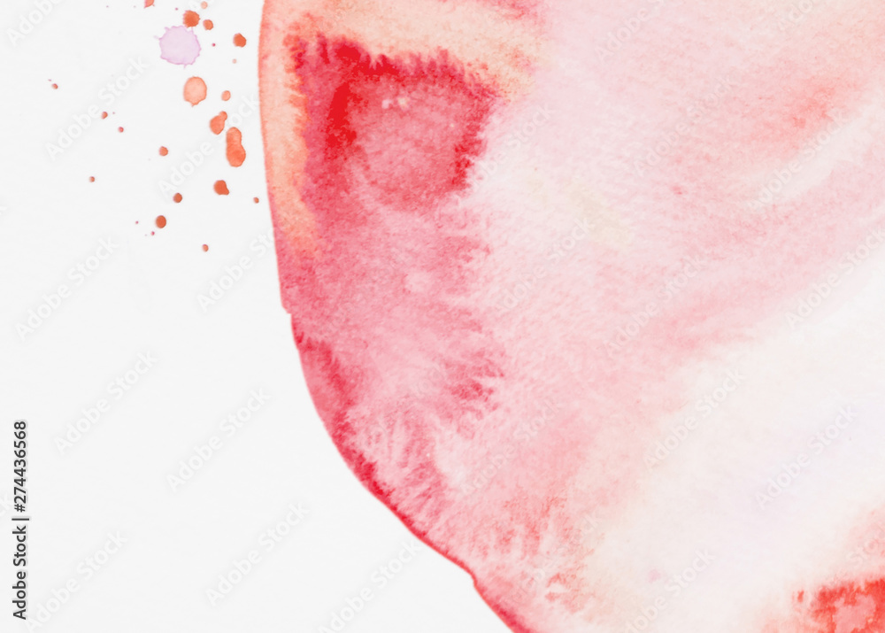 Fototapeta premium Red watercolor liquid texture on white background