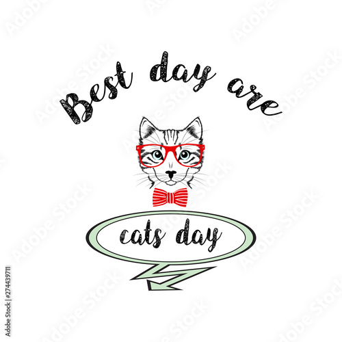 World cats day